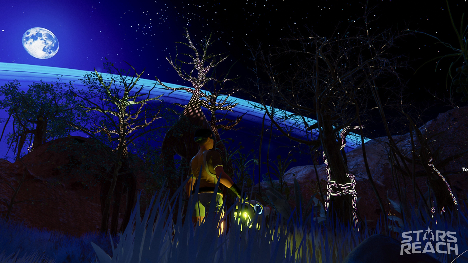 SR_Wild-wormholes-reveal